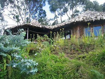 Mount Kilimanjaro View Lodge Μόσι Εξωτερικό φωτογραφία