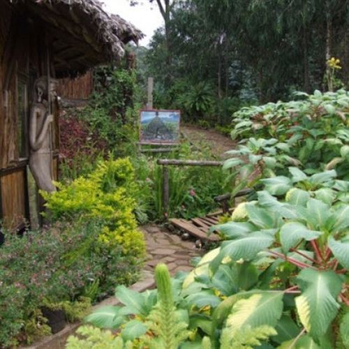 Mount Kilimanjaro View Lodge Μόσι Εξωτερικό φωτογραφία
