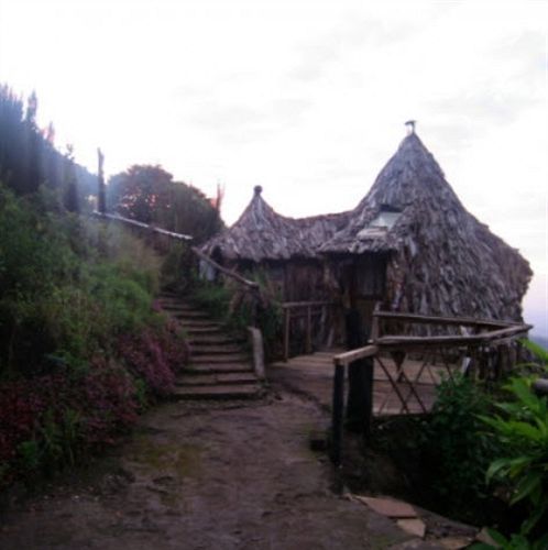 Mount Kilimanjaro View Lodge Μόσι Εξωτερικό φωτογραφία